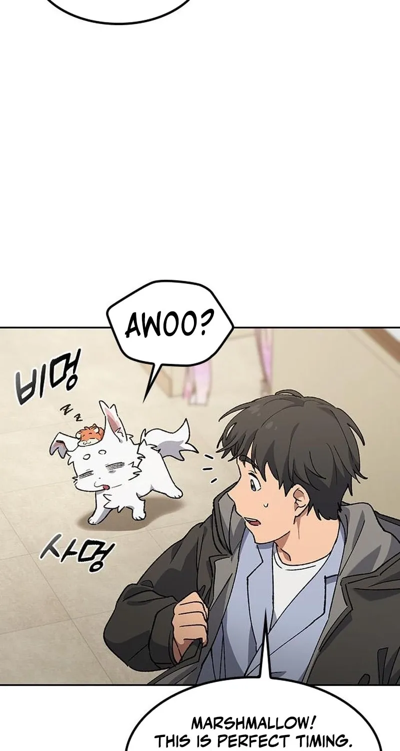 Read Peaceful Camping Life in Another World EN Manga Online