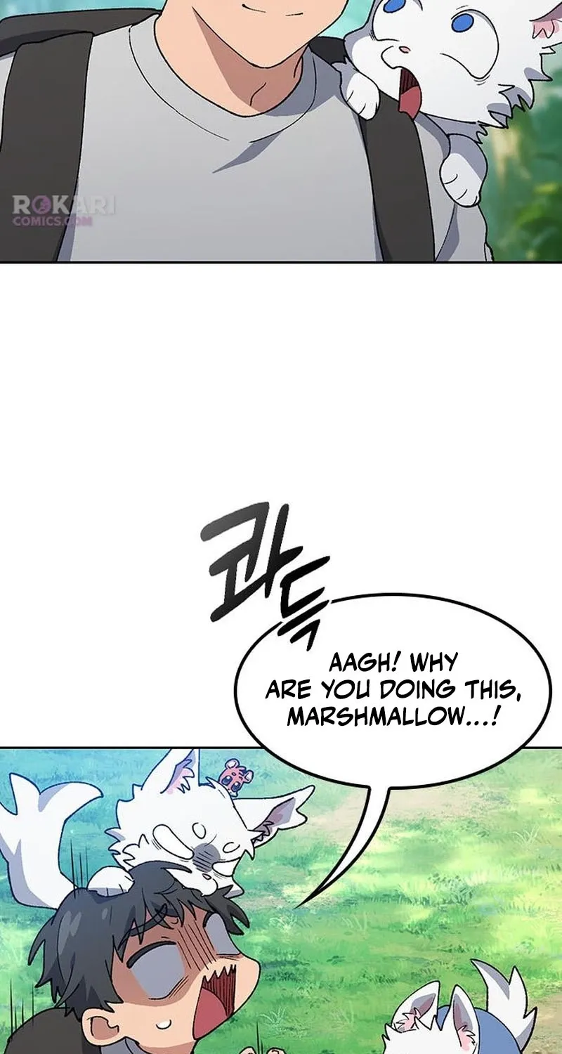 Read Peaceful Camping Life in Another World EN Manga Online