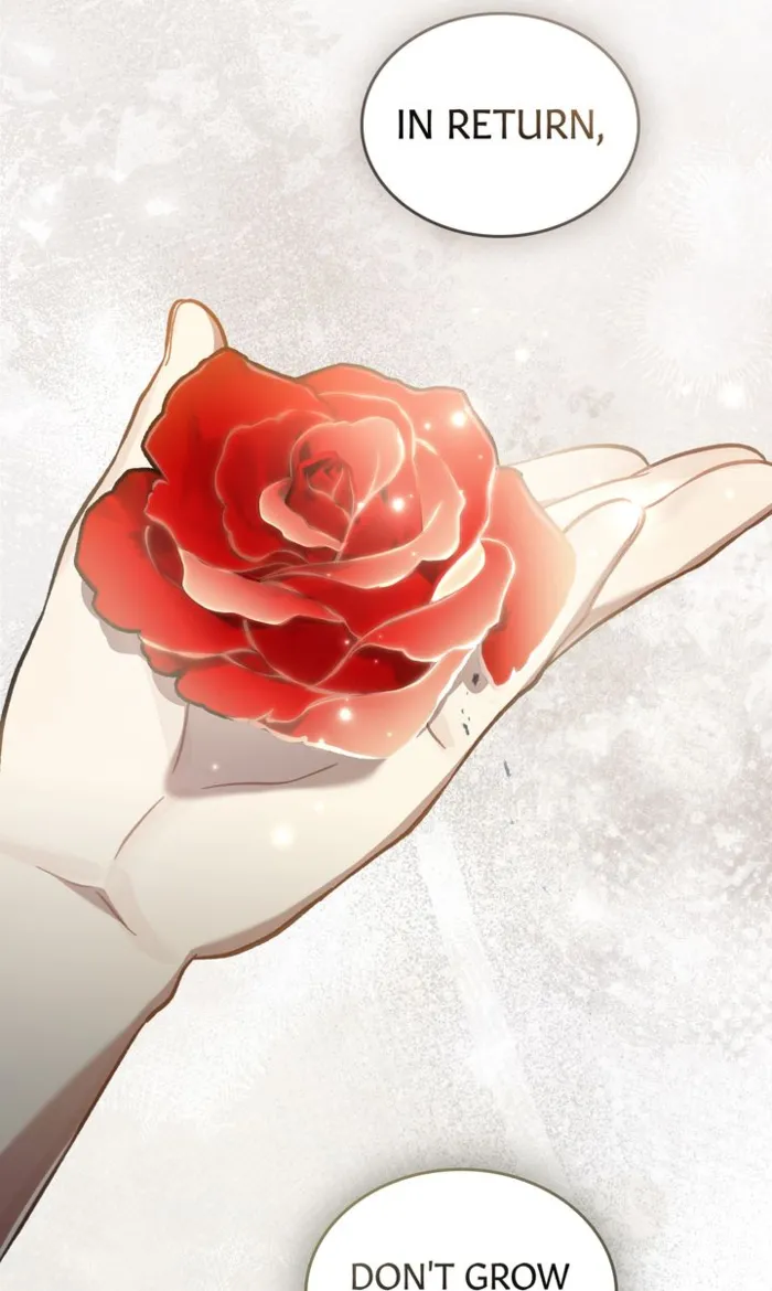 Read Reborn as the Enemy Prince EN Manga Online