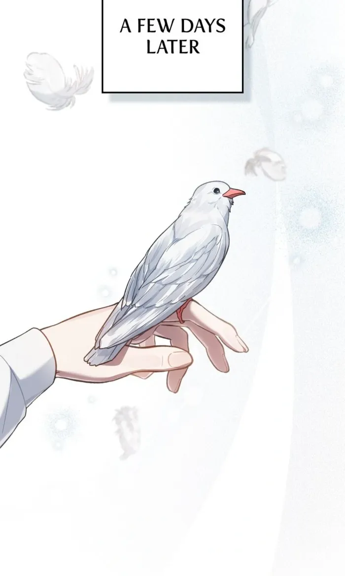 Read Reborn as the Enemy Prince EN Manga Online