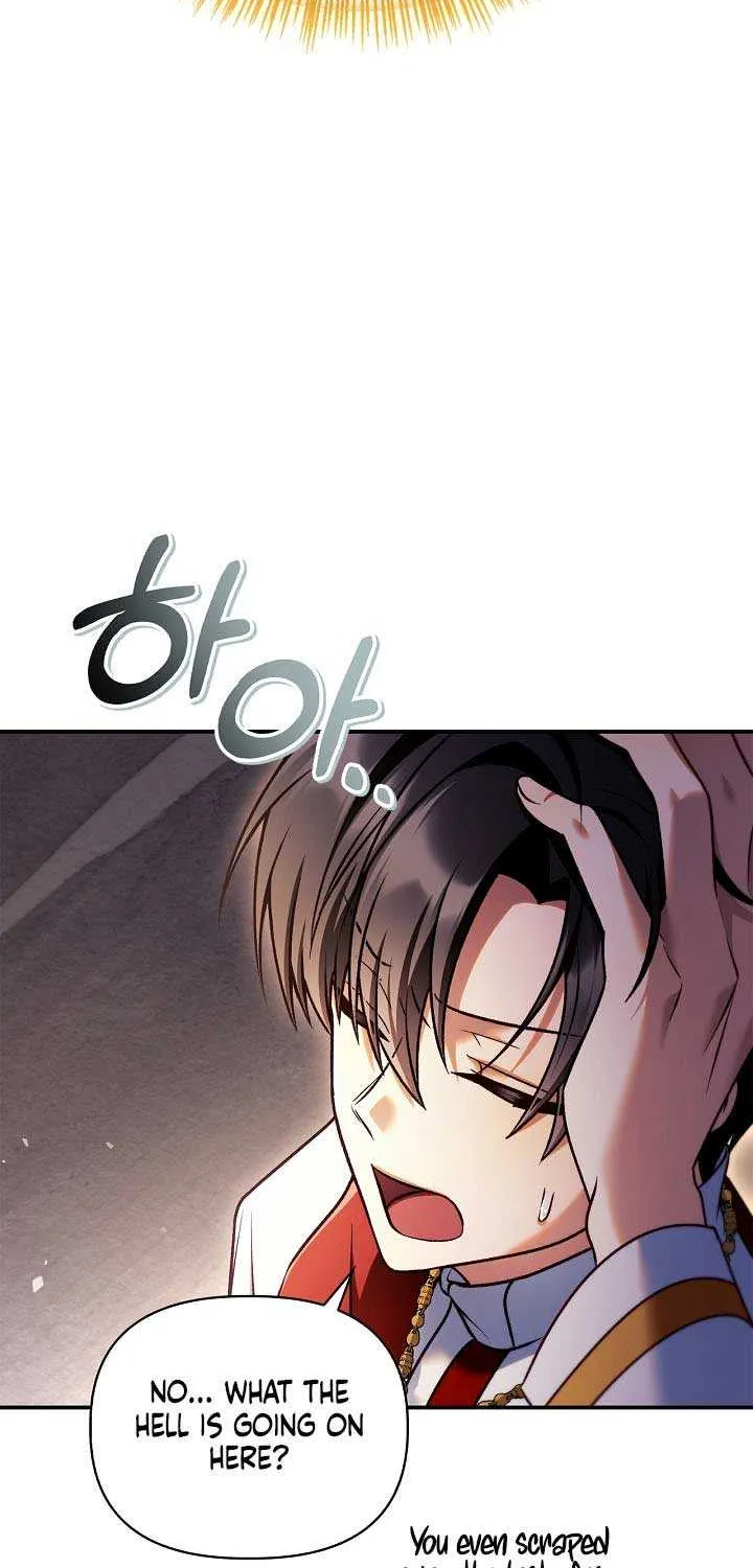 Read Regressor Instruction Manual EN Manga Online