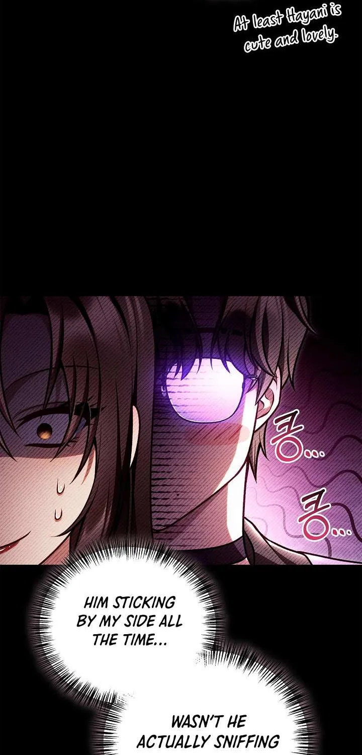 Read Regressor Instruction Manual EN Manga Online