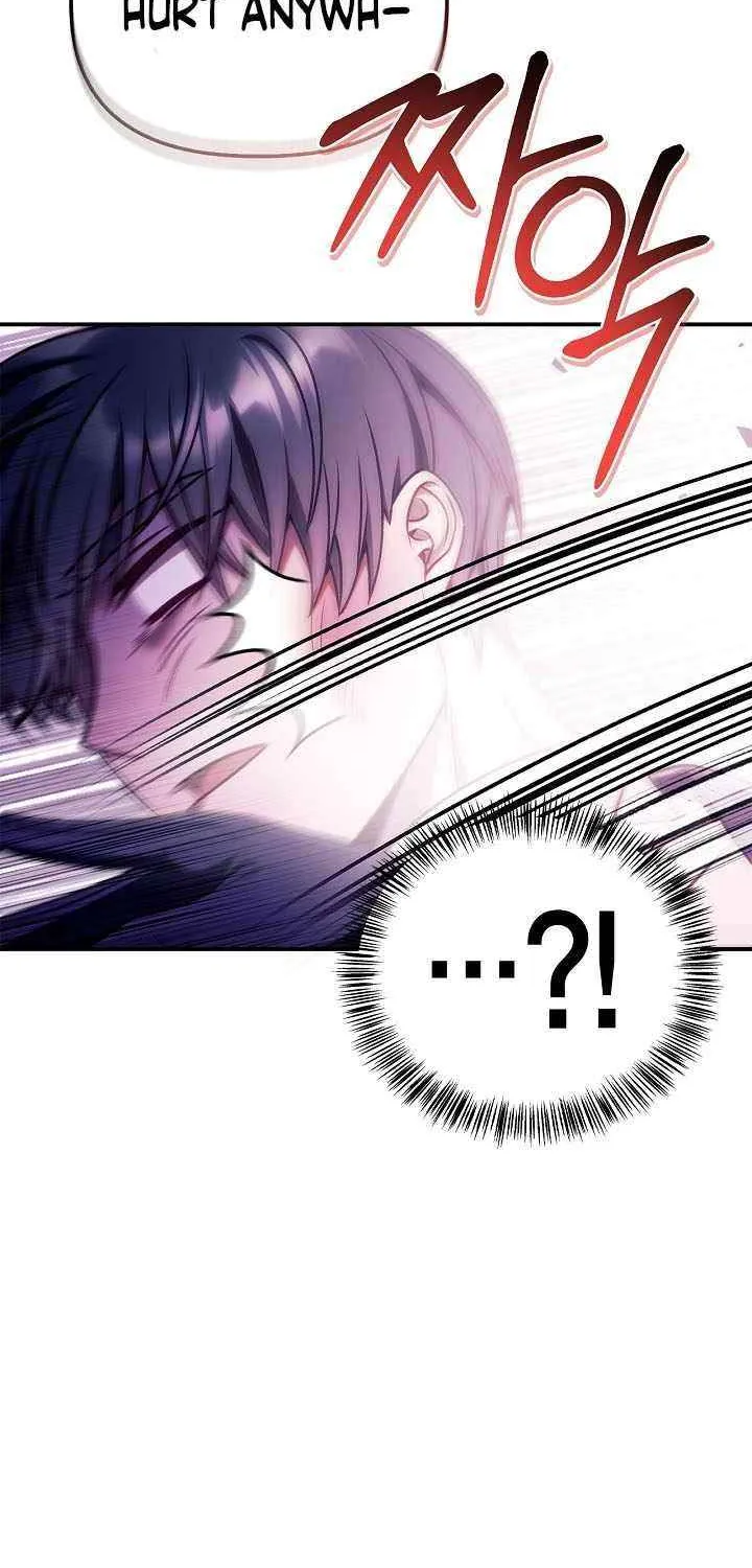 Read Regressor Instruction Manual EN Manga Online