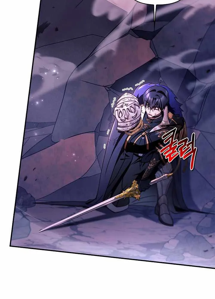 Read Regressor Instruction Manual EN Manga Online