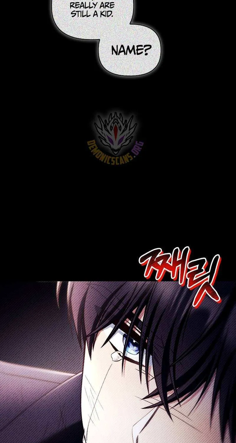 Read Regressor Instruction Manual EN Manga Online
