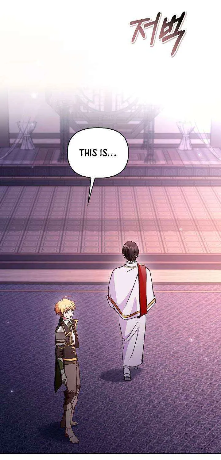 Read Regressor Instruction Manual EN Manga Online
