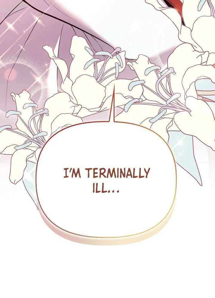 Read Regressor Instruction Manual EN Manga Online