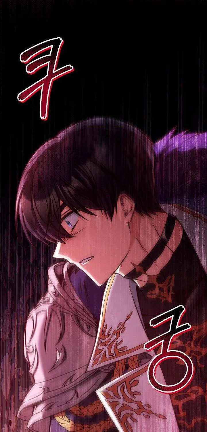 Read Regressor Instruction Manual EN Manga Online