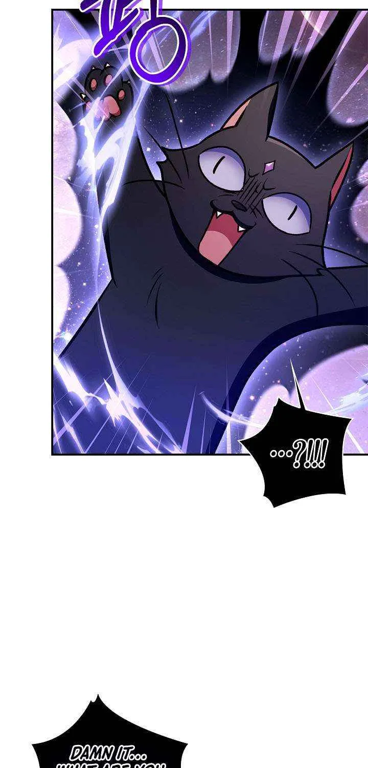 Read Regressor Instruction Manual EN Manga Online