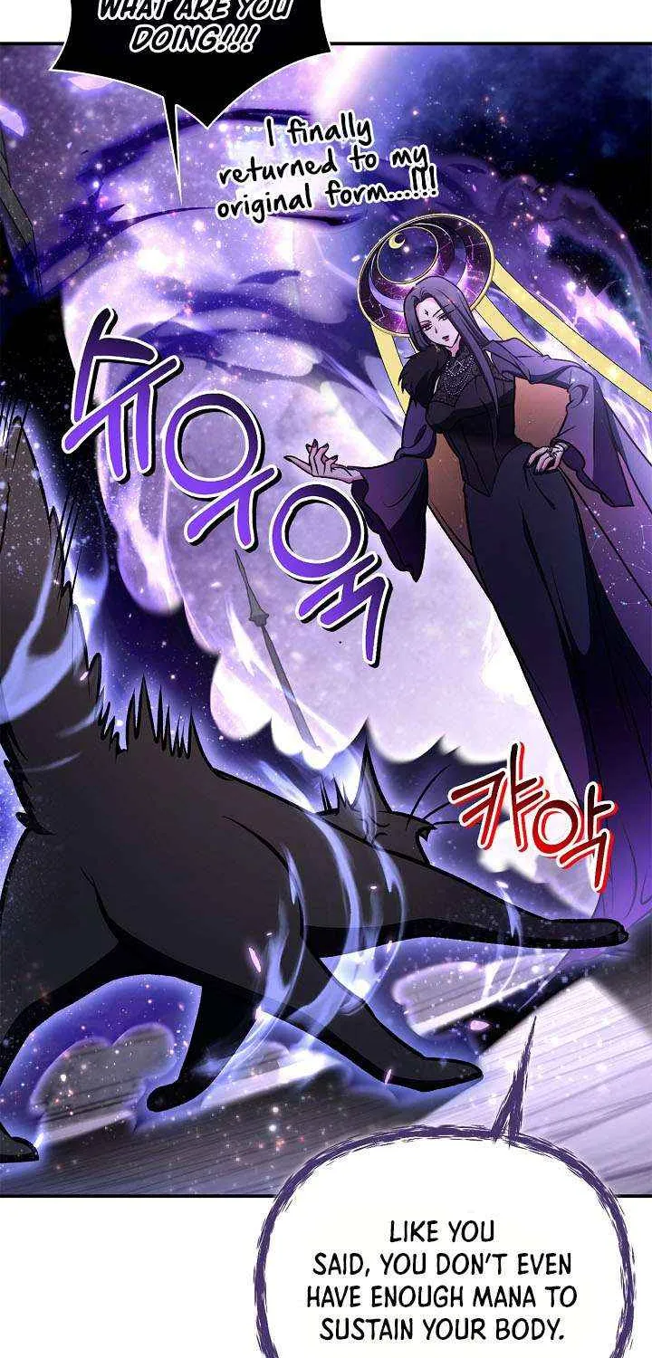 Read Regressor Instruction Manual EN Manga Online
