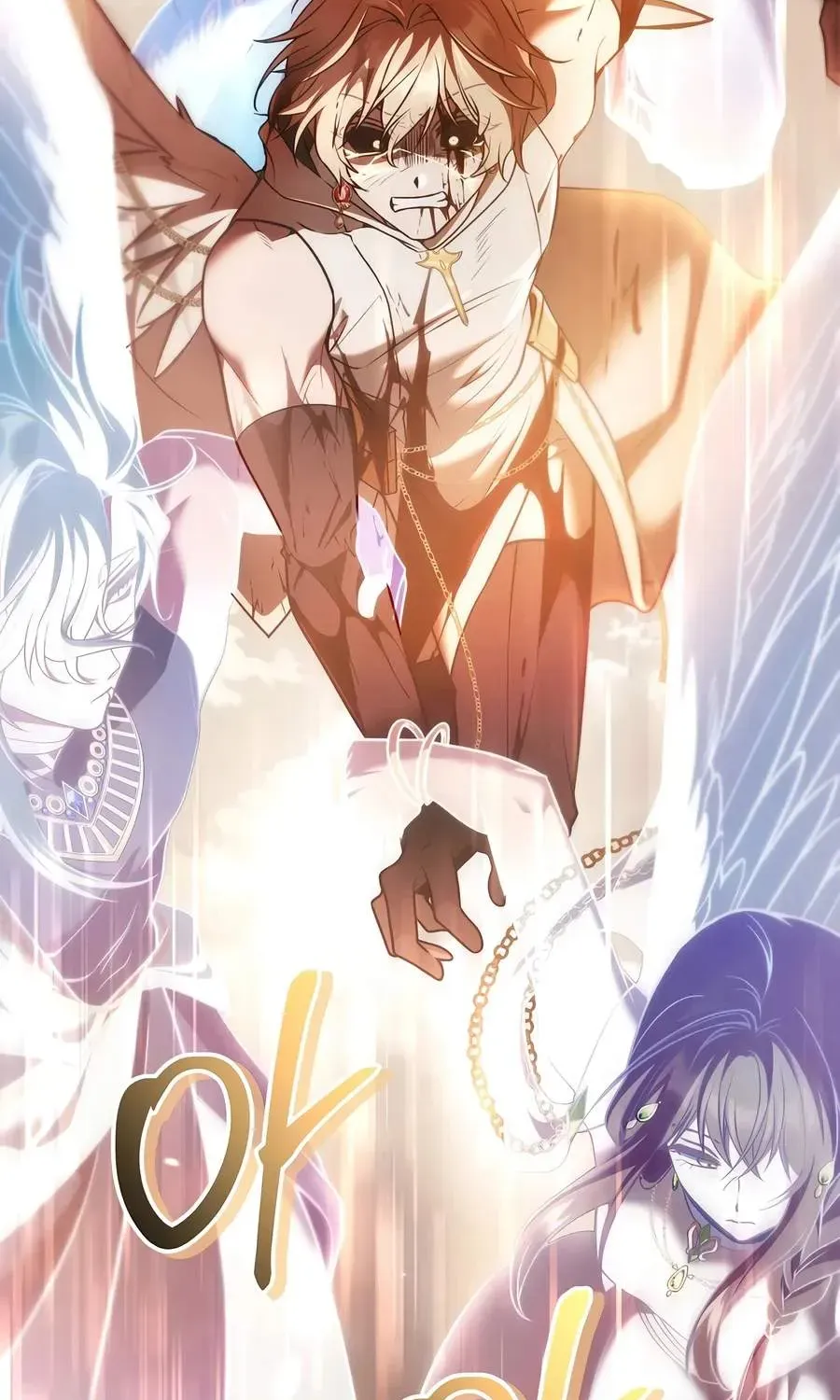 Read Regressor Instruction Manual EN Manga Online