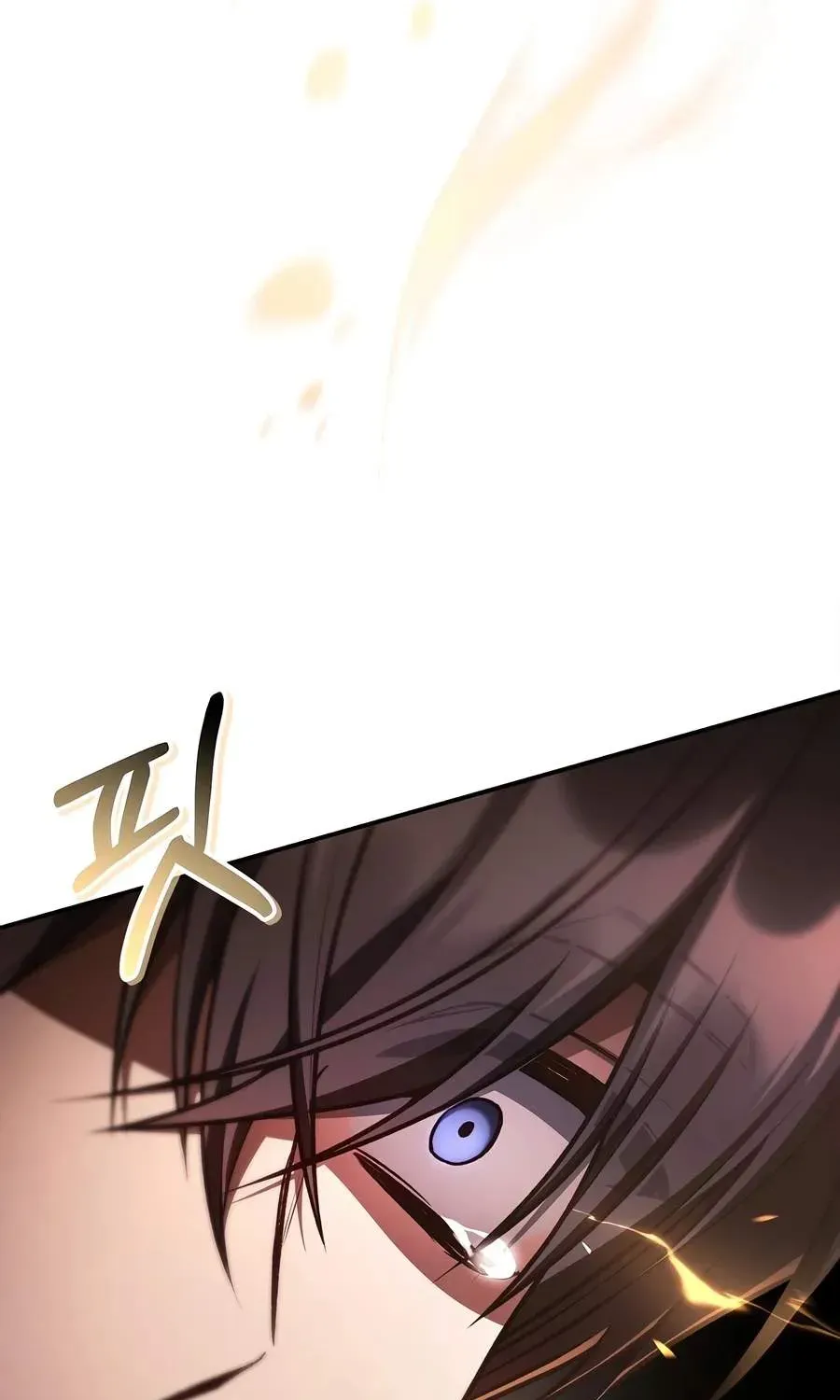 Read Regressor Instruction Manual EN Manga Online