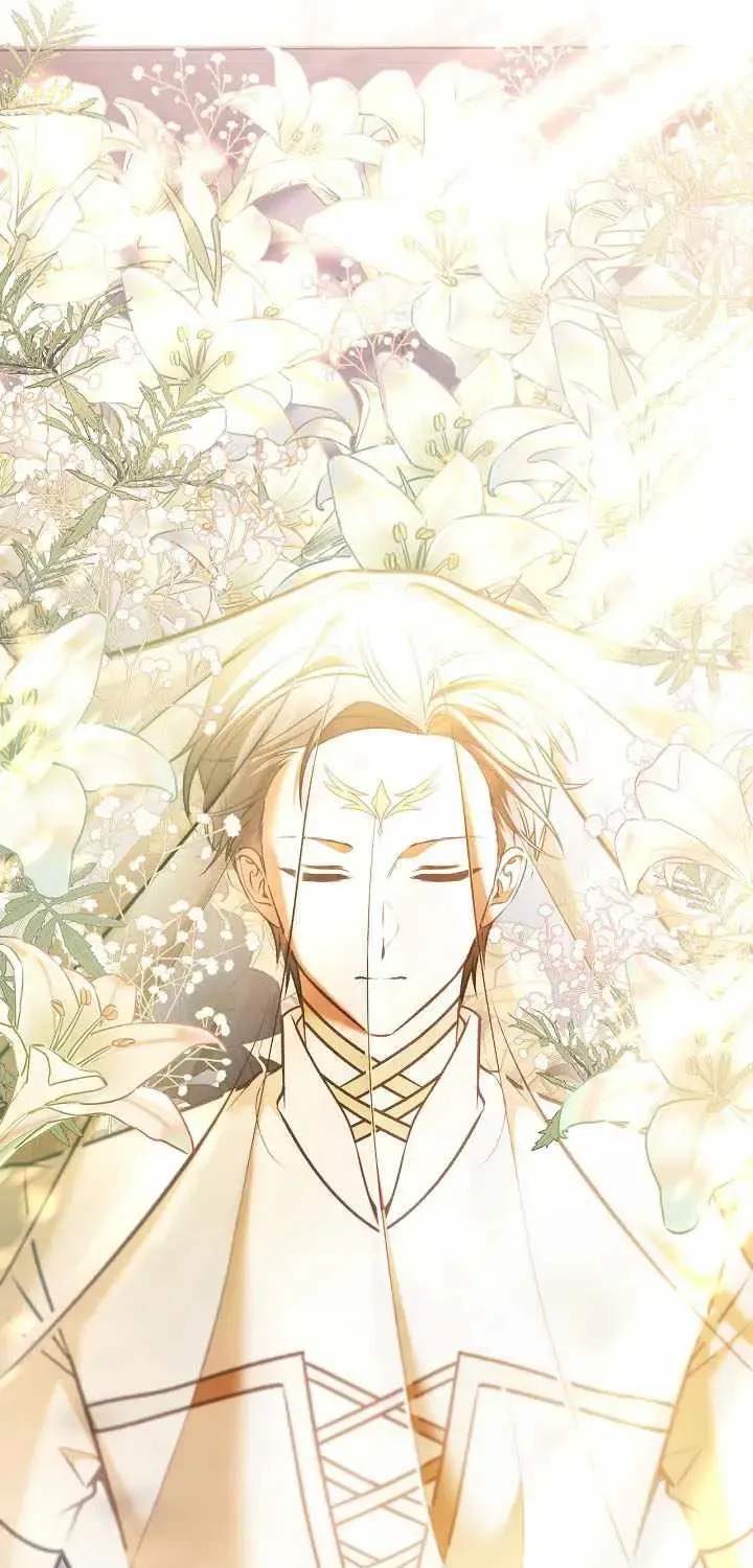 Read Regressor Instruction Manual EN Manga Online