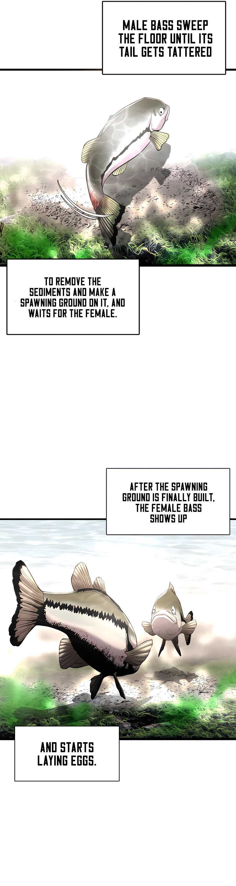 Read Reincarnated As a Fish EN Manga Online