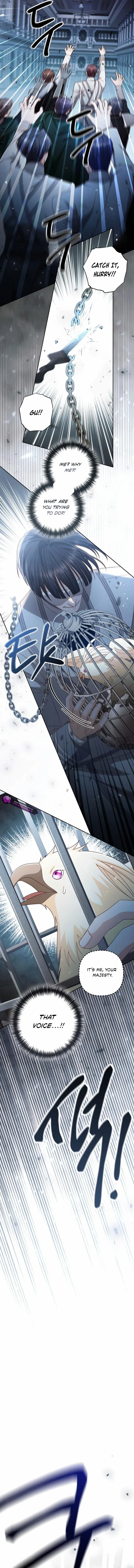 Read Remarried Empress EN Manga Online