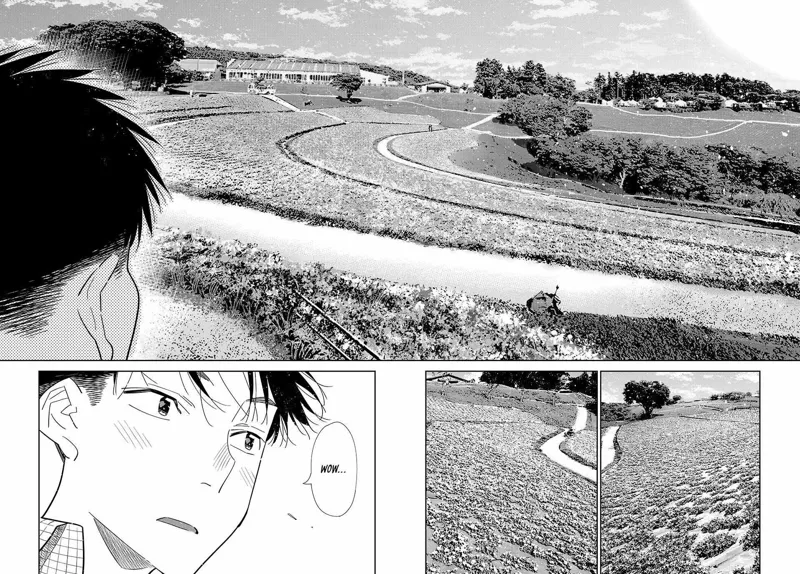 Read Rent A Girlfriend EN Manga Online