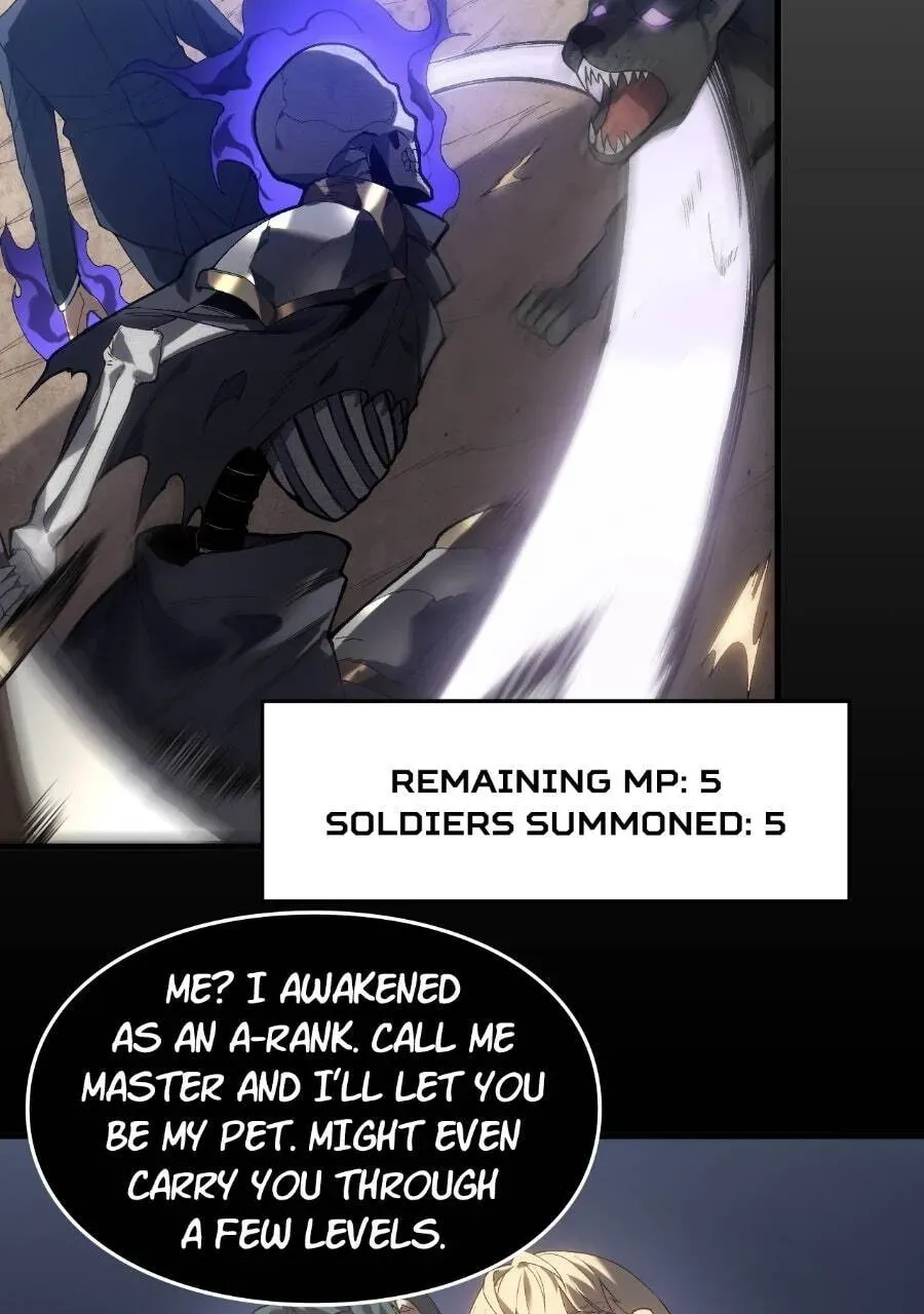 Read Rise of the Limitless Necromancer EN Manga Online
