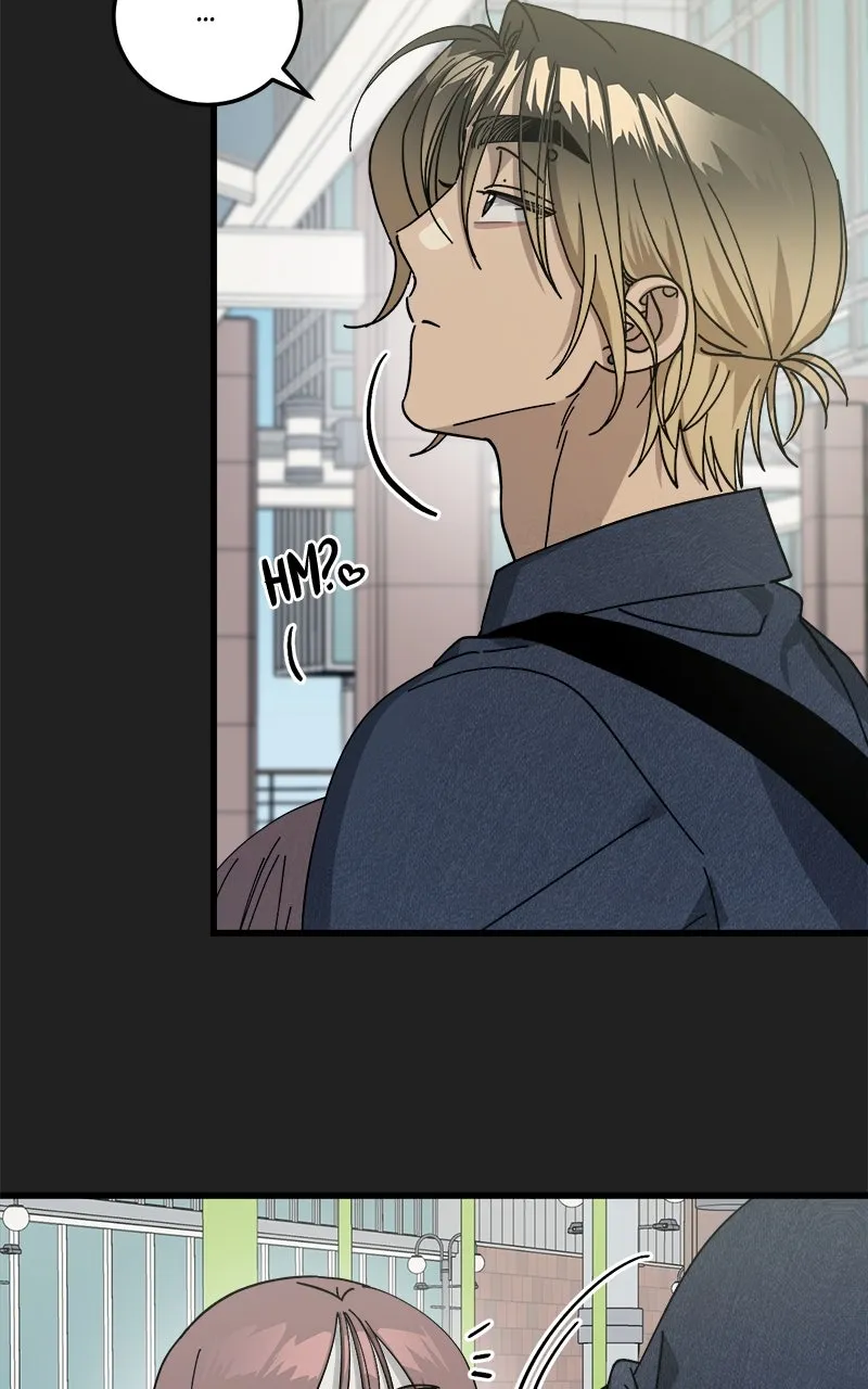 Read Rules for Dating Trash EN Manga Online