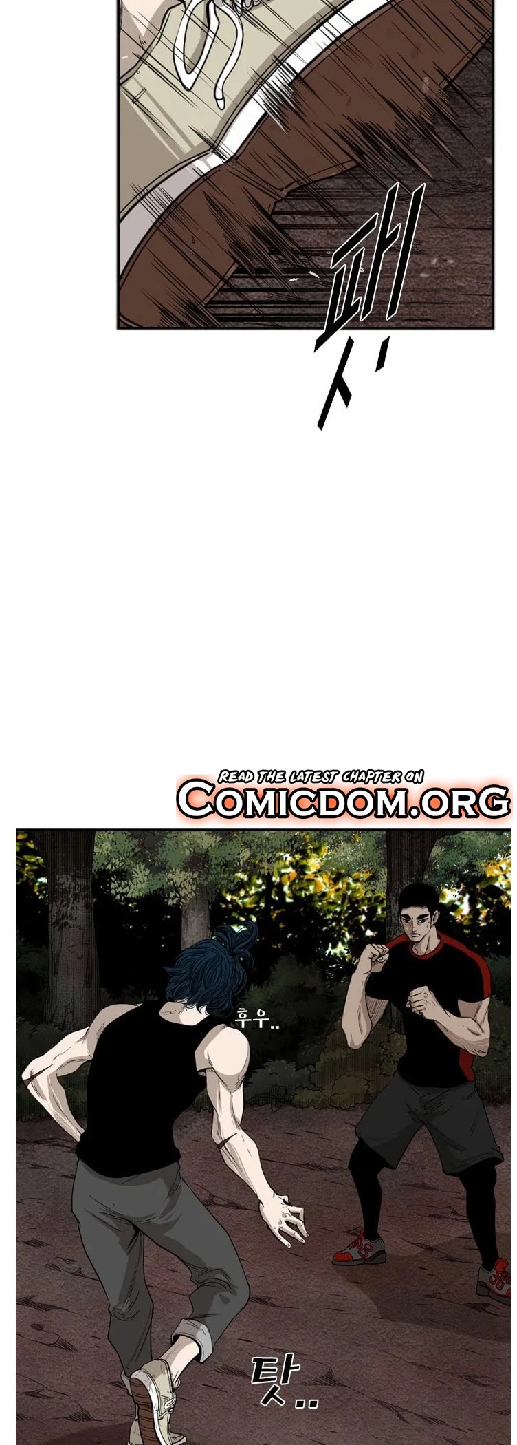 Read Shark EN Manga Online