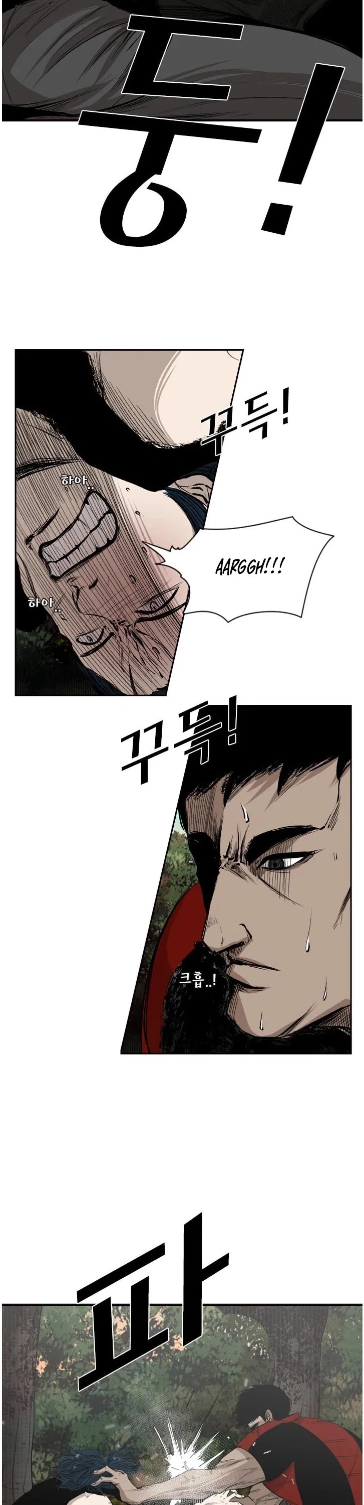 Read Shark EN Manga Online