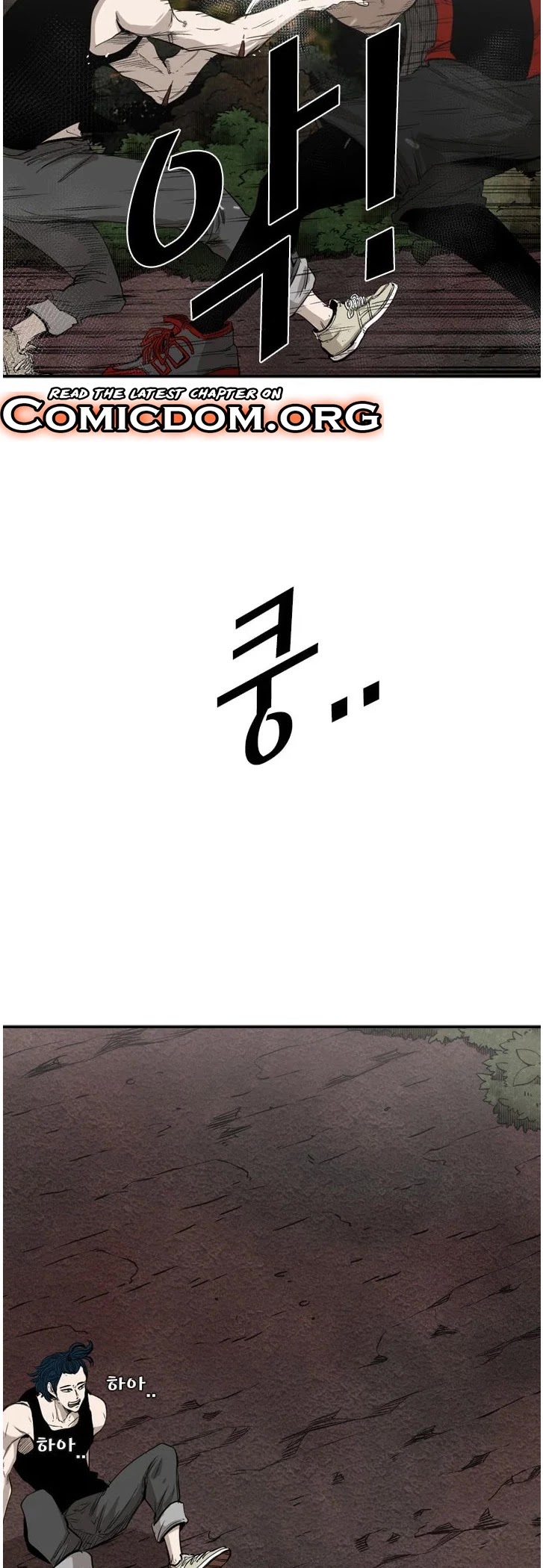 Read Shark EN Manga Online