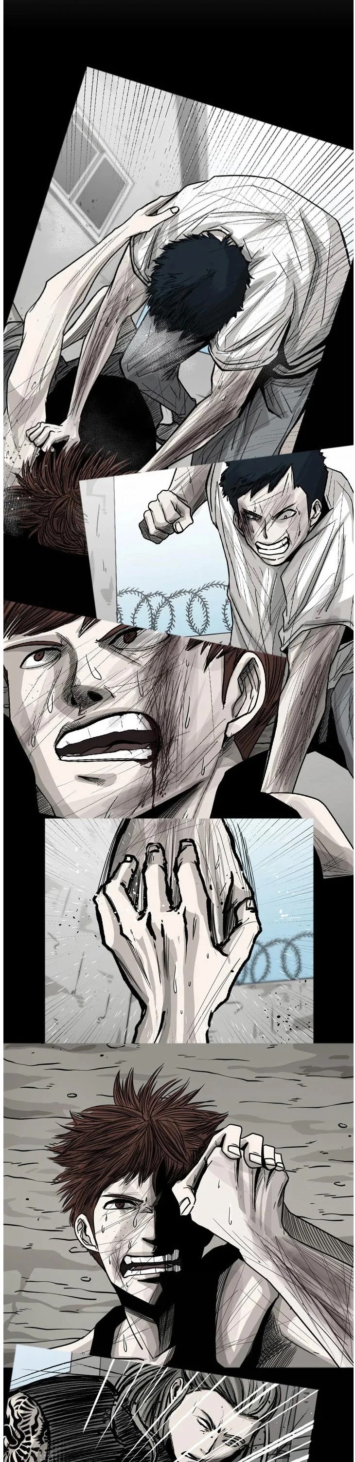 Read Shark EN Manga Online
