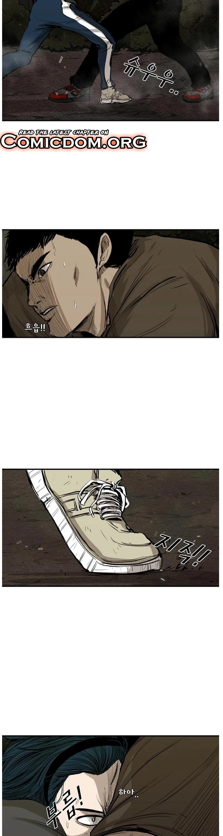 Read Shark EN Manga Online
