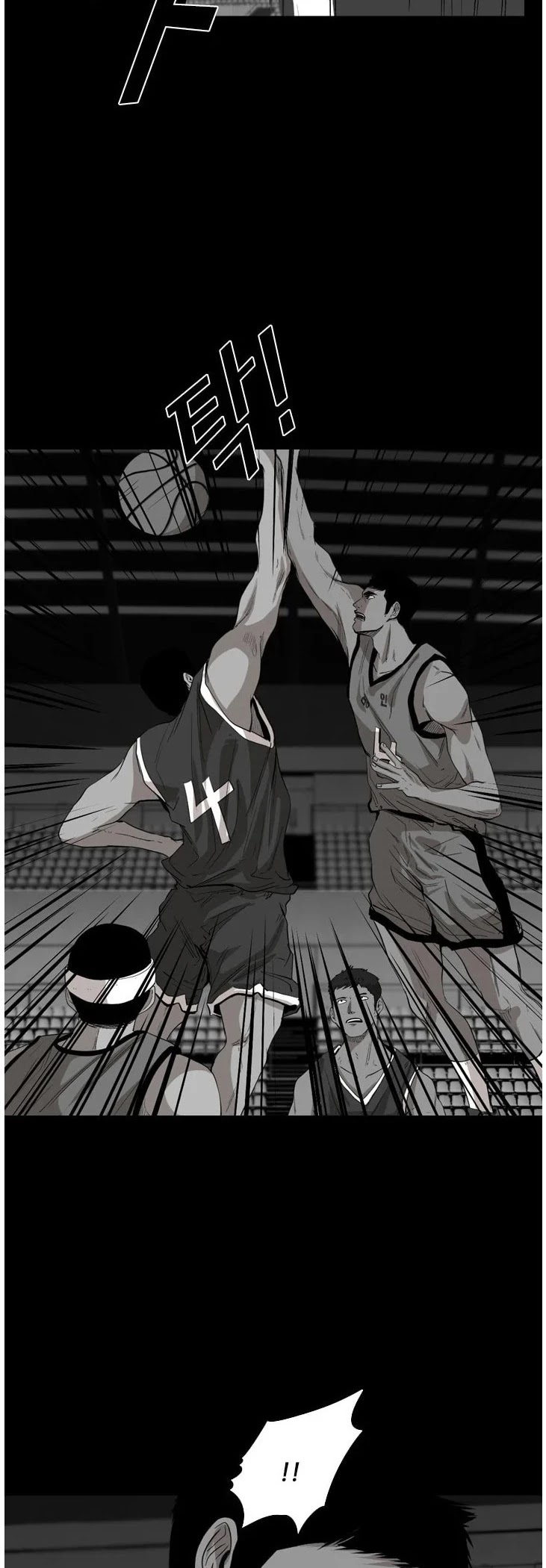 Read Shark EN Manga Online