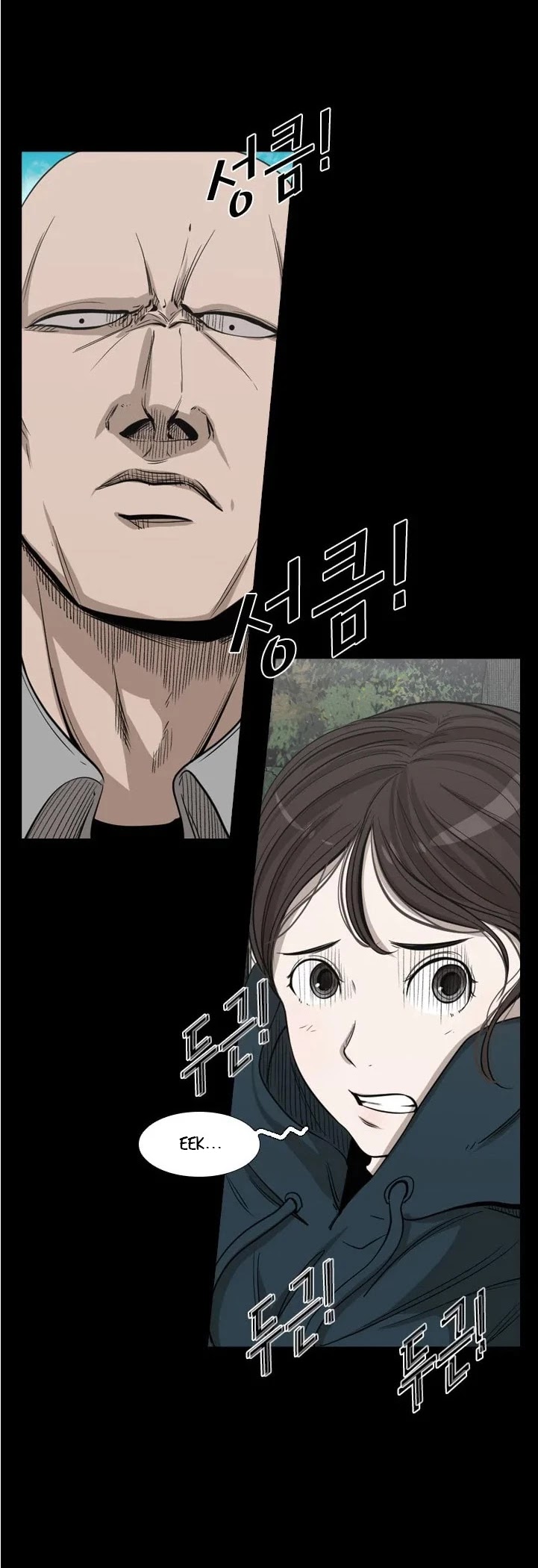 Read Shark EN Manga Online