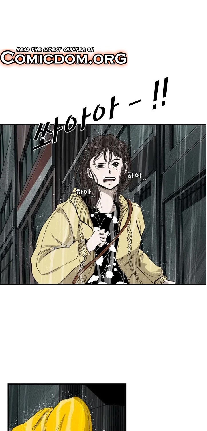 Read Shark EN Manga Online