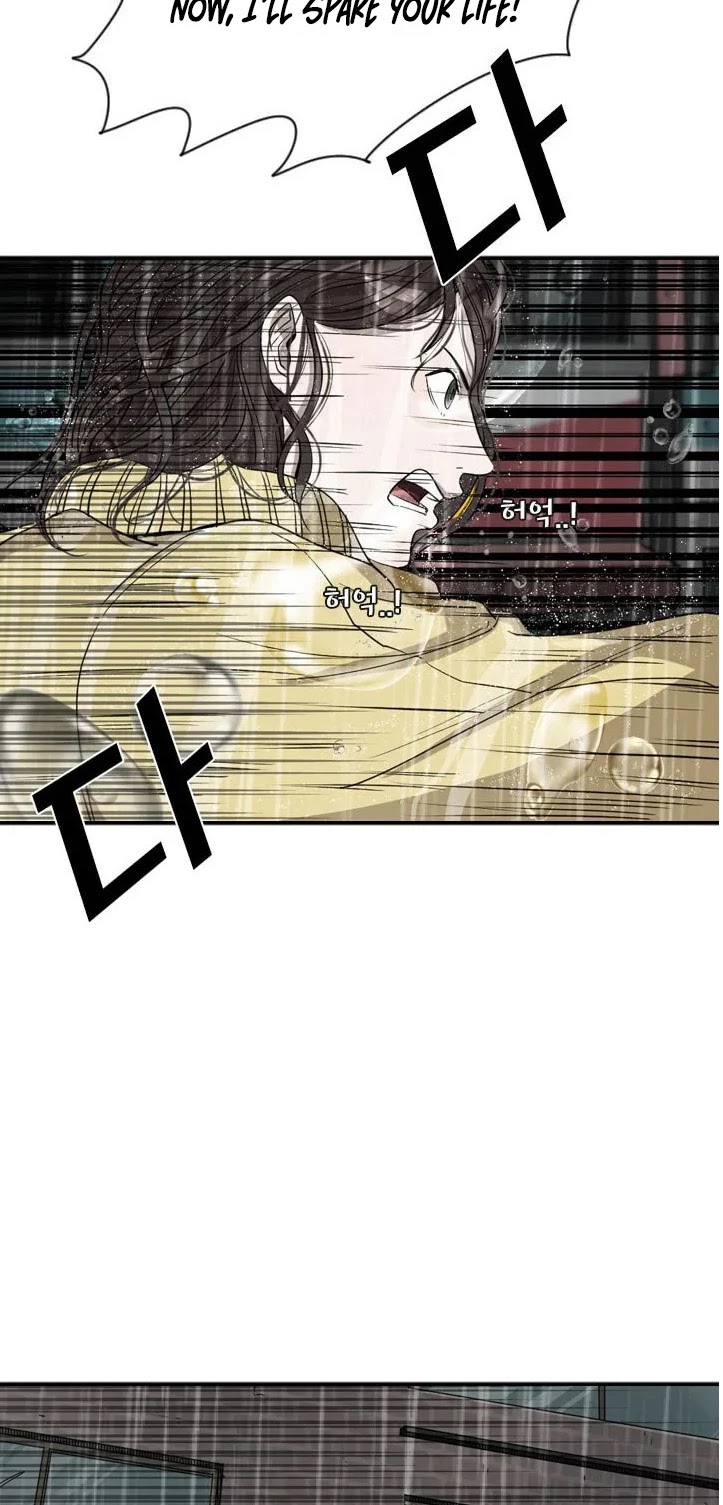Read Shark EN Manga Online