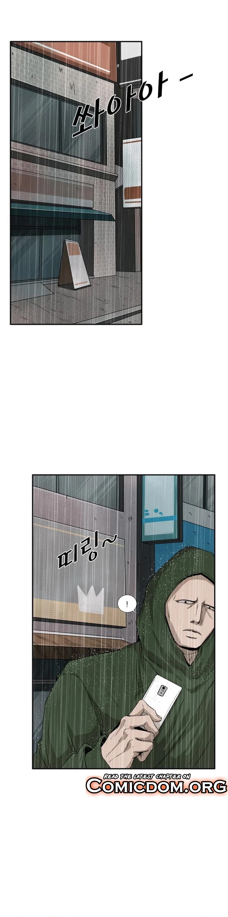 Read Shark EN Manga Online