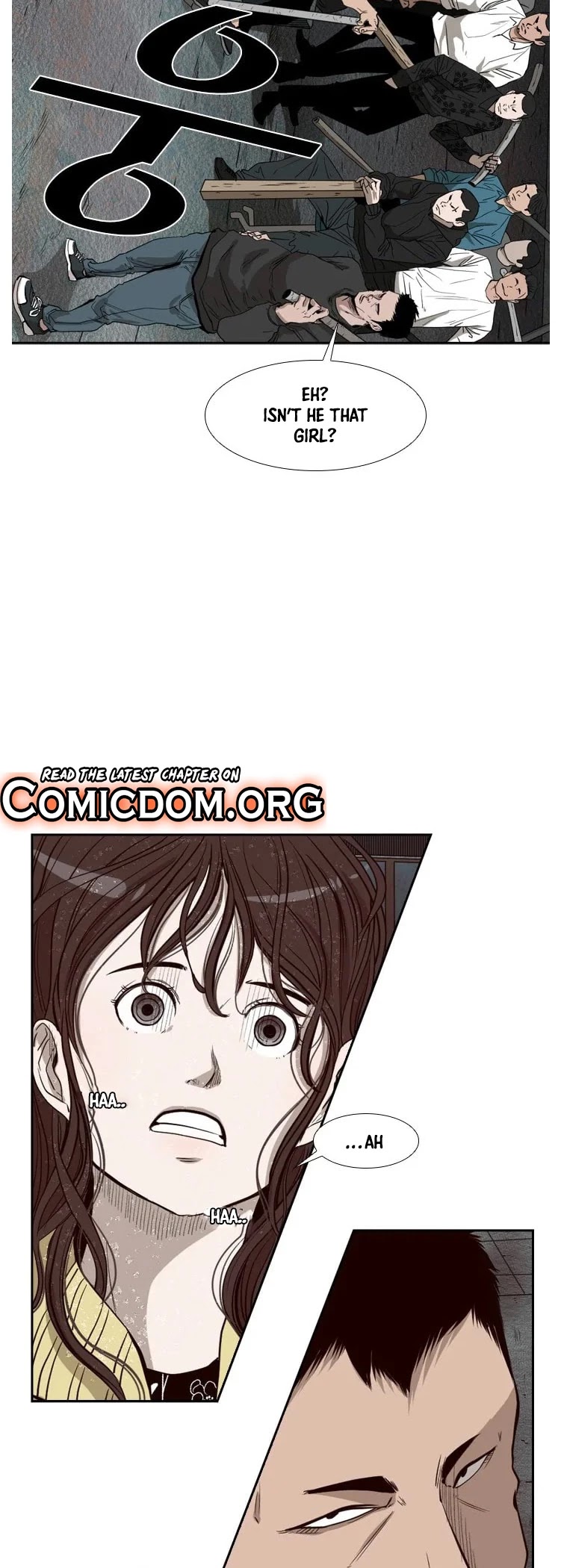 Read Shark EN Manga Online