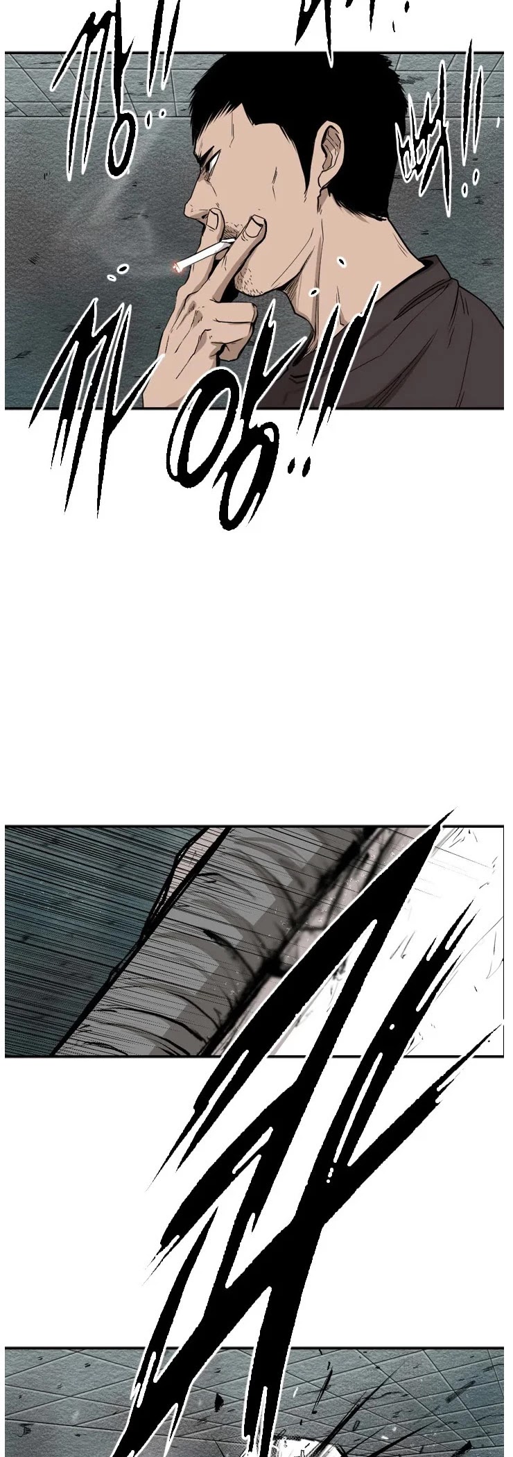 Read Shark EN Manga Online