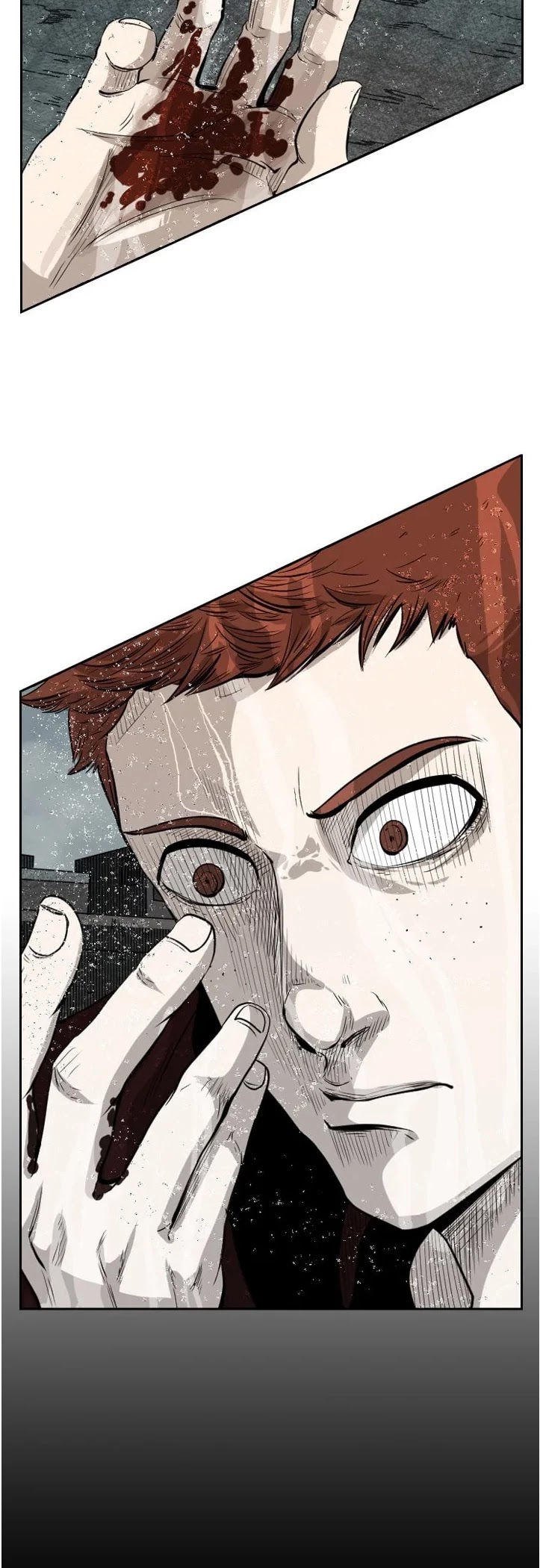 Read Shark EN Manga Online