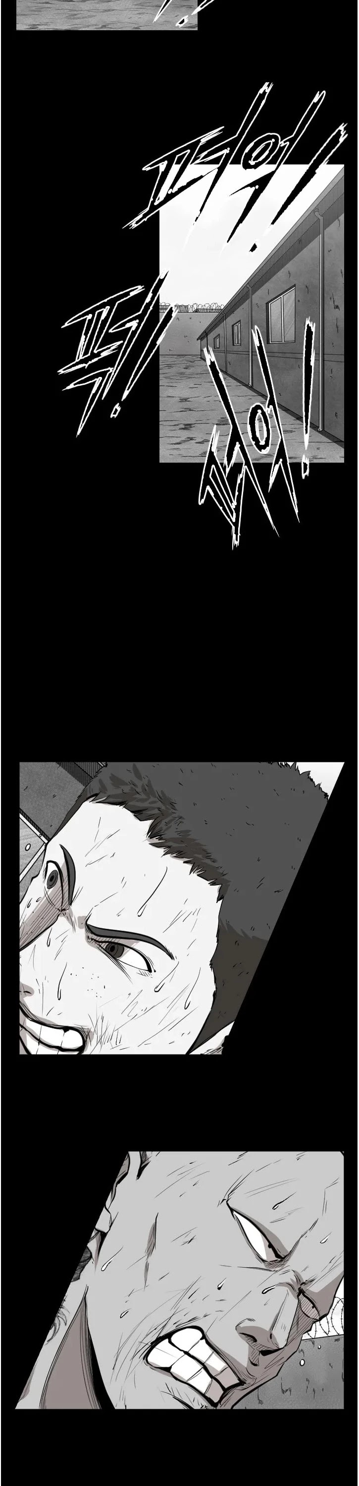 Read Shark EN Manga Online
