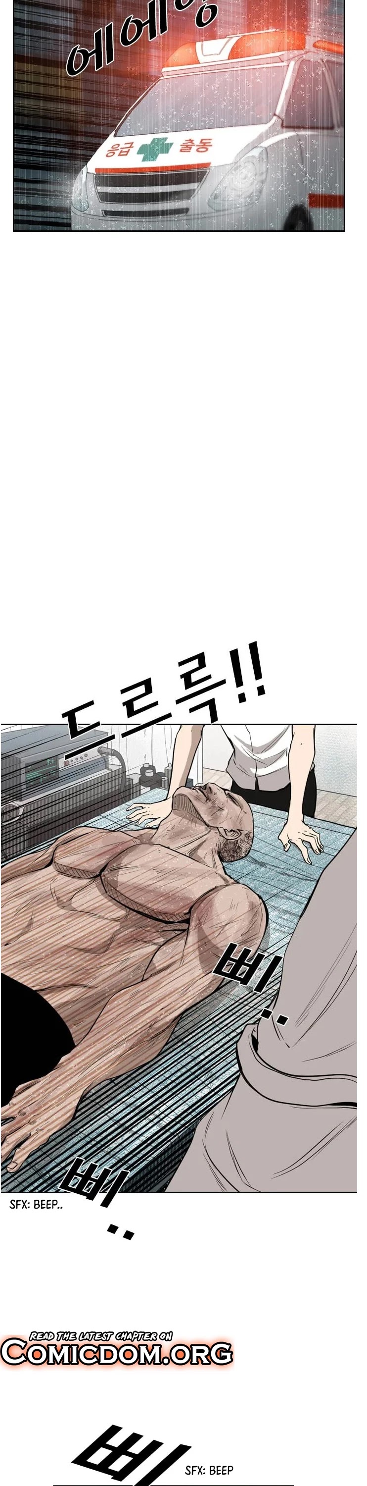 Read Shark EN Manga Online