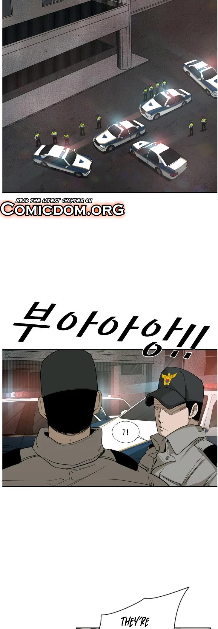 Read Shark EN Manga Online