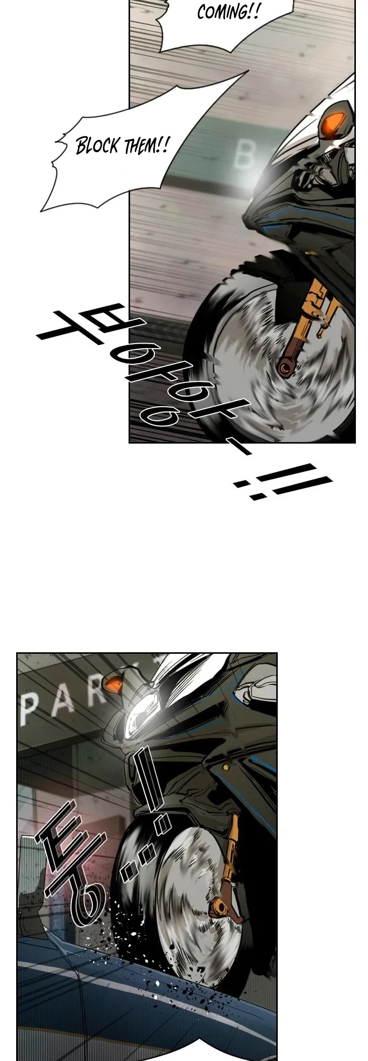 Read Shark EN Manga Online