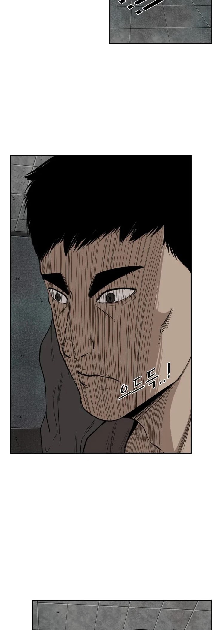 Read Shark EN Manga Online