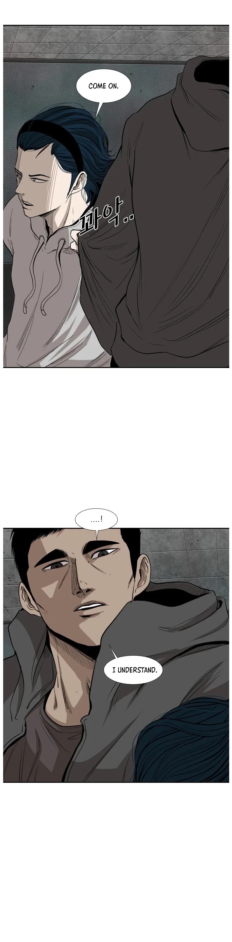 Read Shark EN Manga Online