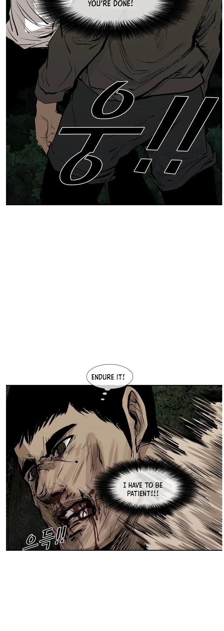 Read Shark EN Manga Online