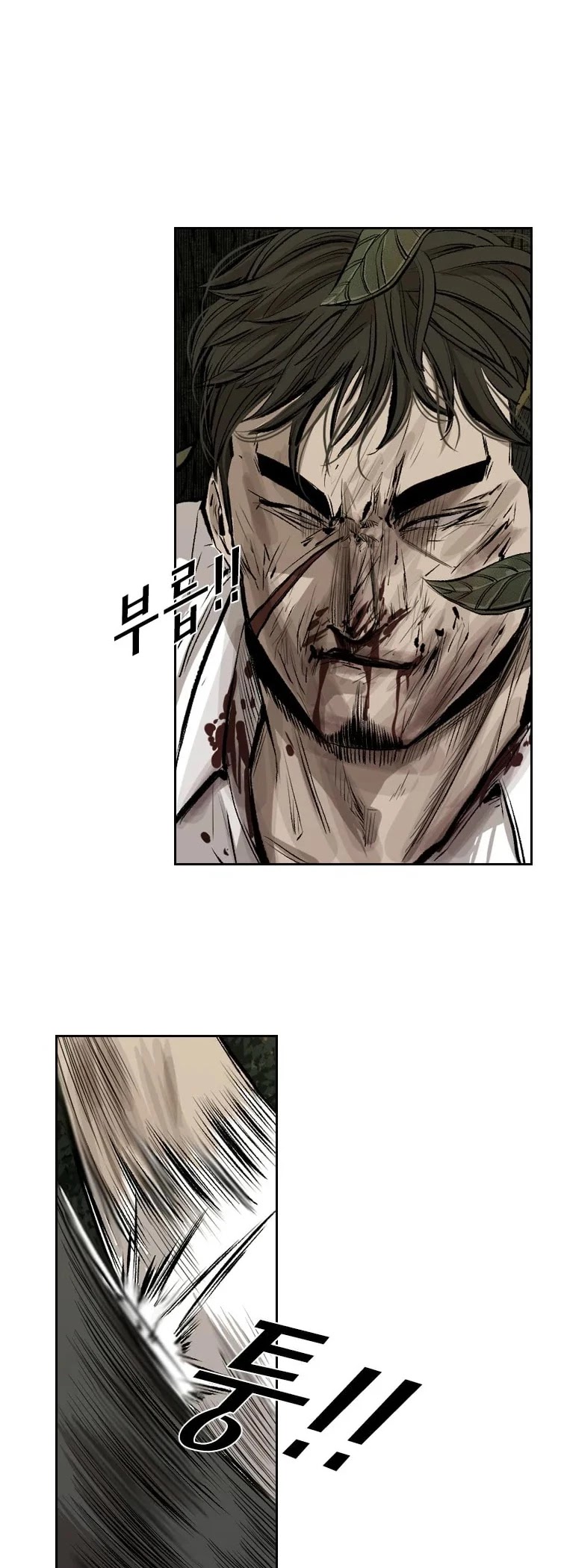 Read Shark EN Manga Online