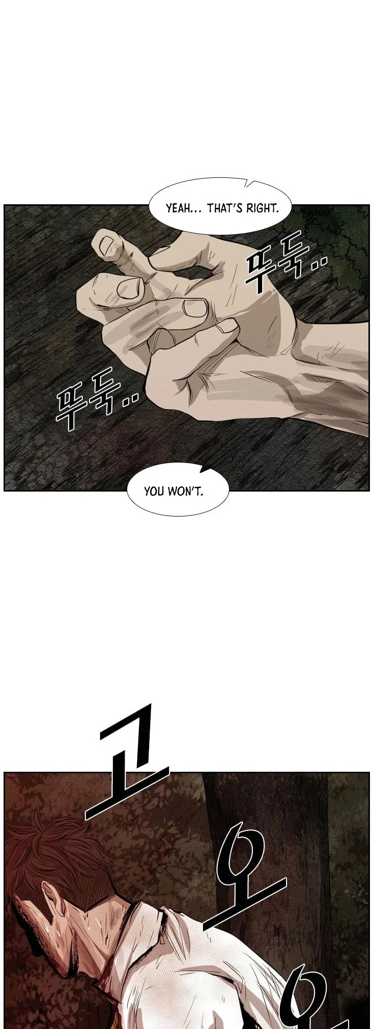 Read Shark EN Manga Online