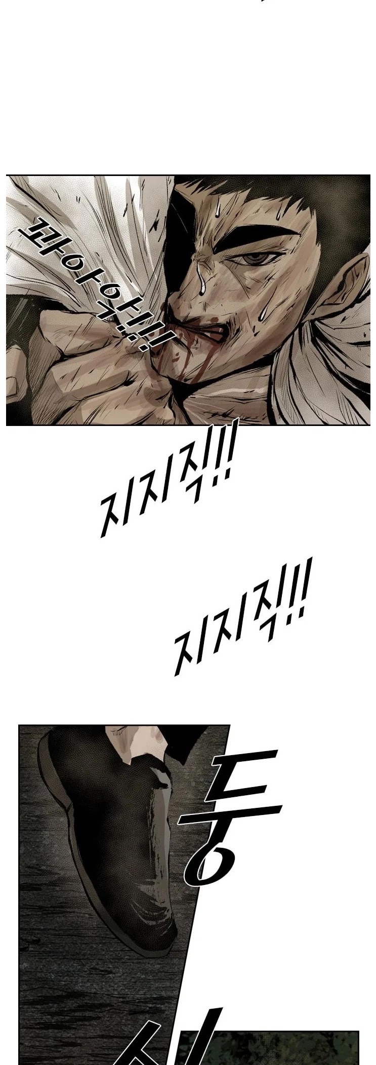 Read Shark EN Manga Online