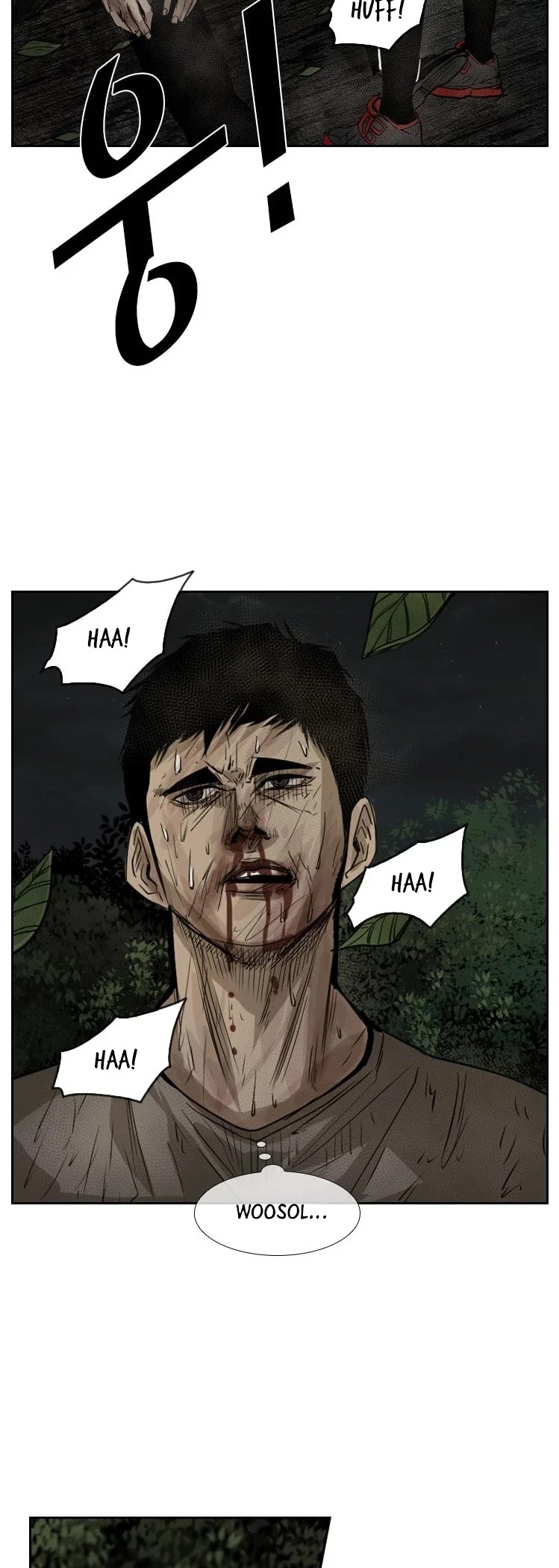 Read Shark EN Manga Online