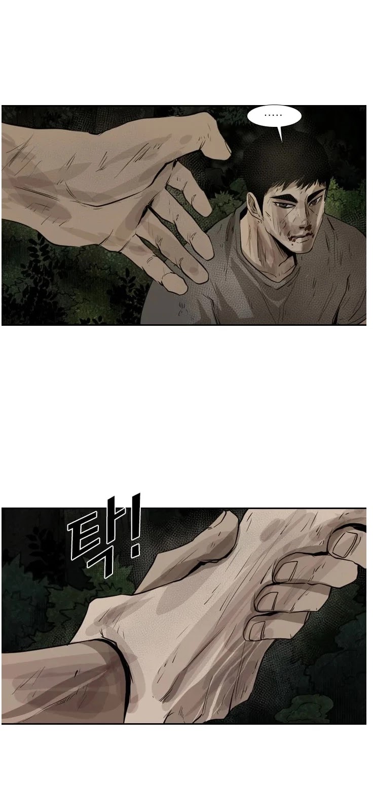 Read Shark EN Manga Online