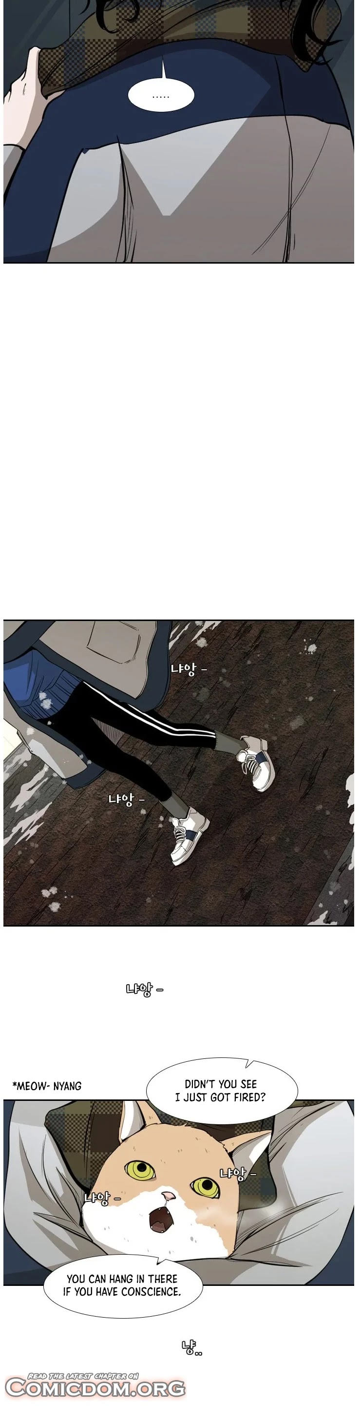 Read Shark EN Manga Online