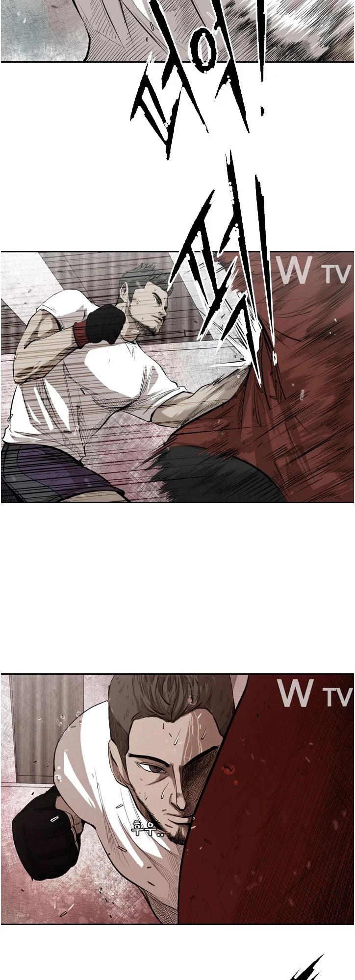 Read Shark EN Manga Online
