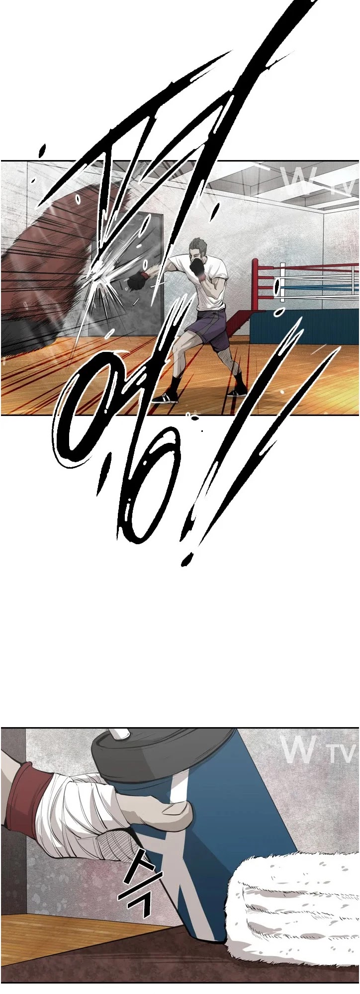 Read Shark EN Manga Online